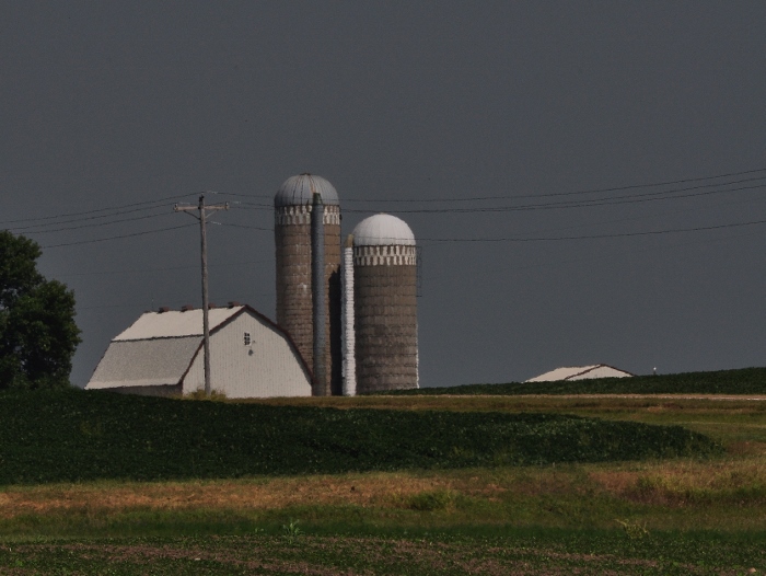 barn along highway 46, Rice County